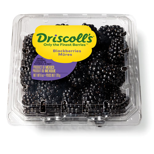 Blackberry (Driscoll’s)